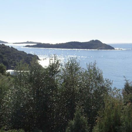 Appartement T2 50M² Vue Mer Presqu'Il De Giens. Rc Hyères Zewnętrze zdjęcie